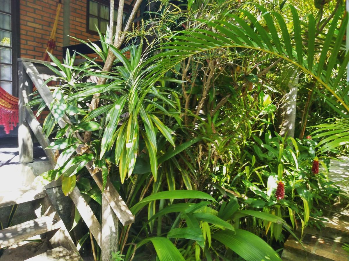 Morada Crisálida Praia do Rosa Exterior foto