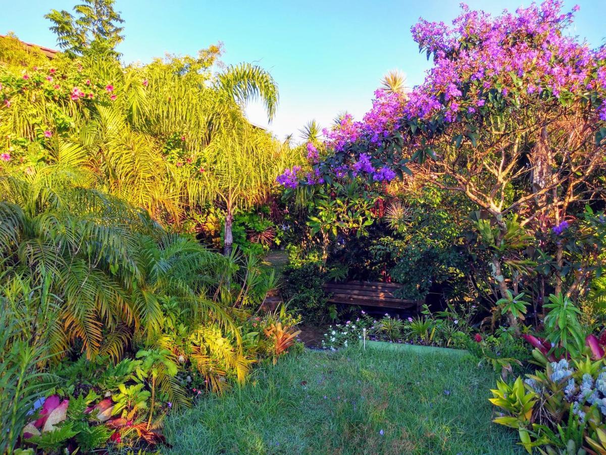 Morada Crisálida Praia do Rosa Exterior foto